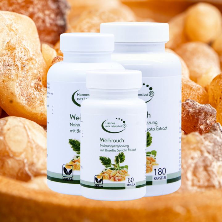 Completo Bambino 3 Pezzi con Giacca Zip